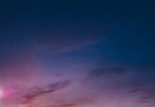 New Zealand Name Spin-Heavy Squad for ICC Men’s T20 World Cup 2026